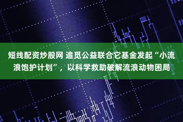 短线配资炒股网 追觅公益联合它基金发起“小流浪饱护计划”，以科学救助破解流浪动物困局